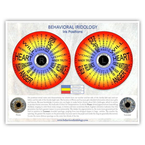 Free Iris Positions Chart – Behavioral Iridology