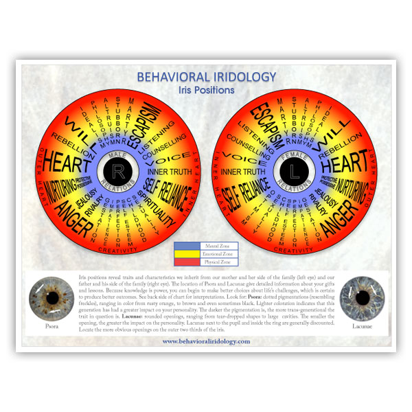 Iridology Eye Chart